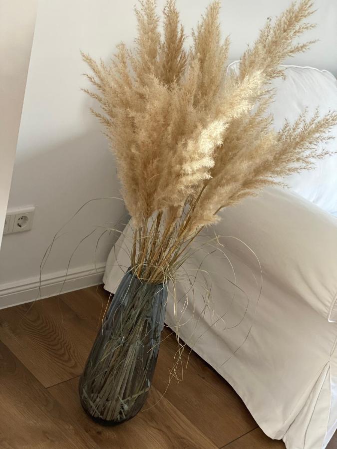 Ferienwohnung Mit Balkon Und Garten Og 플렌스부르크 외부 사진